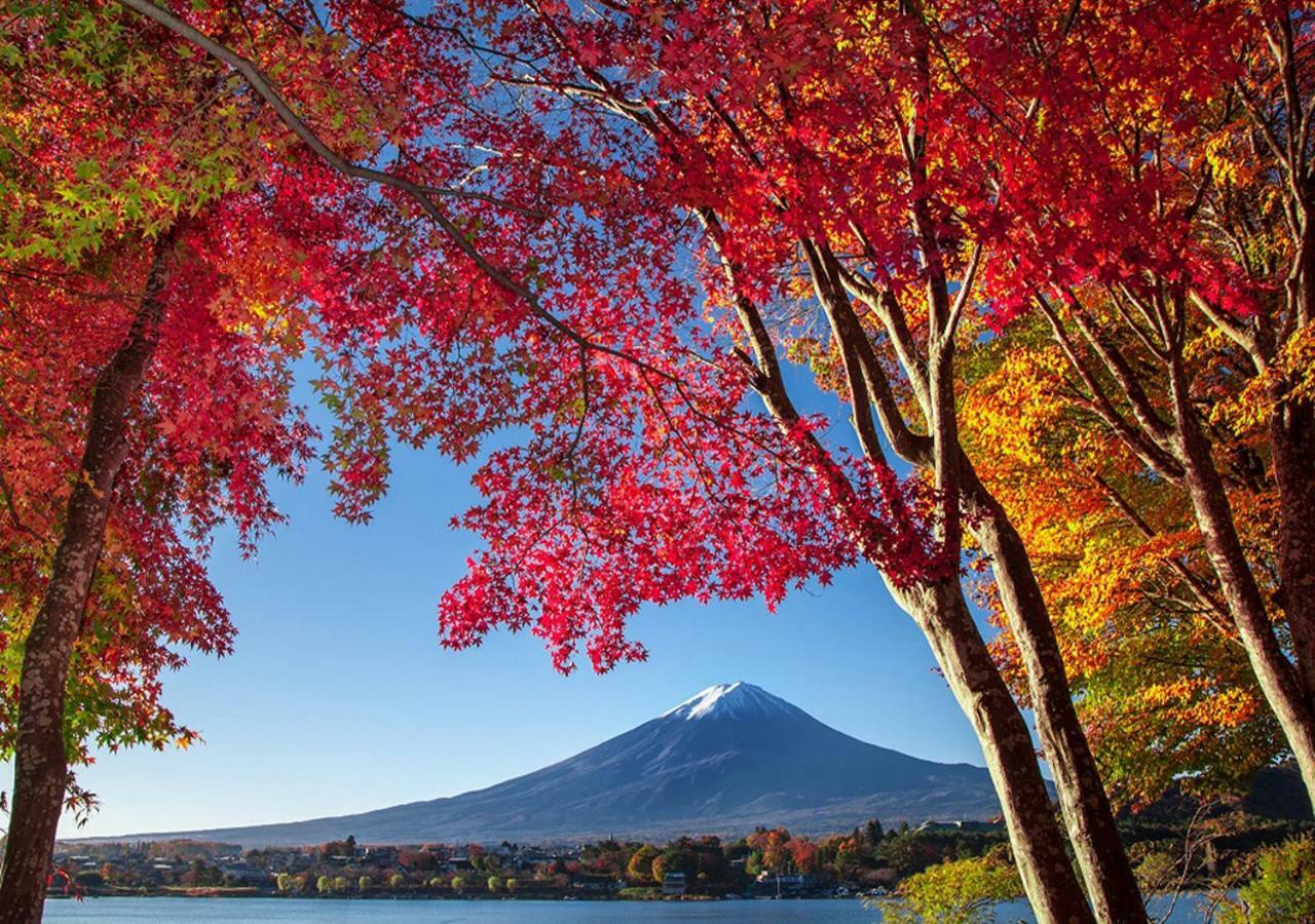 富士山金魚 Fujisan Kingyo Villa Fujikawaguchiko Exterior photo